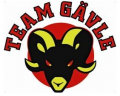 Team G&auml;vle